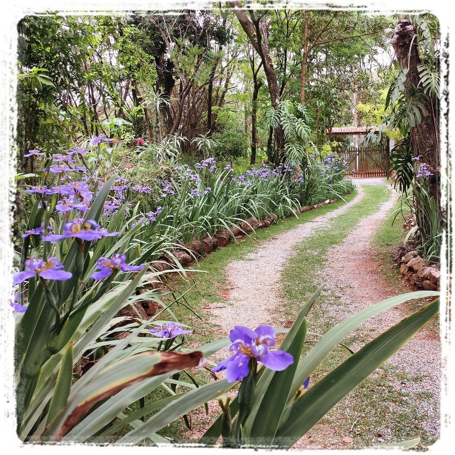 Casa Iris De Van Gogh Brumadinho Exterior photo